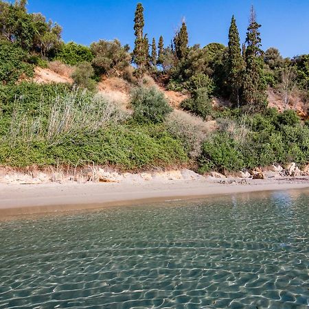 Vounária Colonides Beach Hotel מראה חיצוני תמונה
